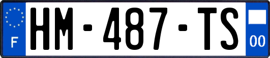 HM-487-TS