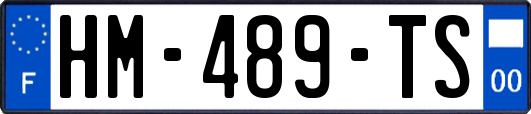 HM-489-TS