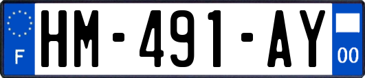 HM-491-AY