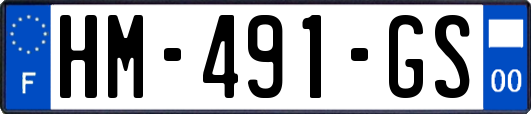 HM-491-GS