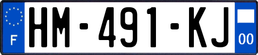 HM-491-KJ