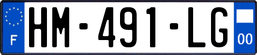 HM-491-LG