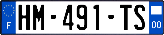 HM-491-TS