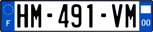 HM-491-VM