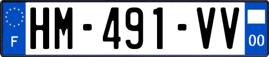 HM-491-VV