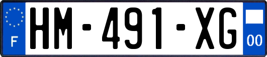 HM-491-XG