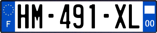HM-491-XL