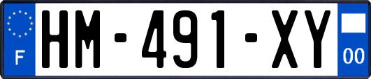 HM-491-XY