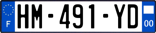 HM-491-YD