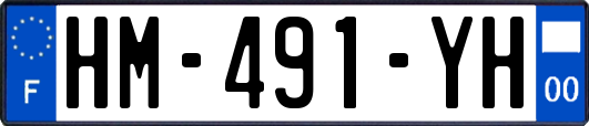 HM-491-YH