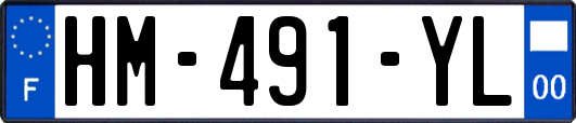 HM-491-YL