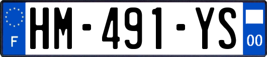HM-491-YS