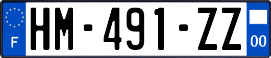HM-491-ZZ
