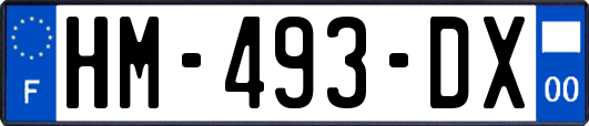HM-493-DX