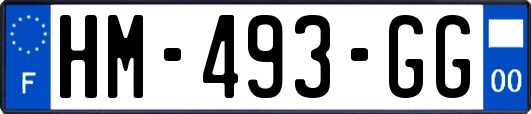 HM-493-GG