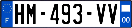 HM-493-VV