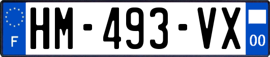 HM-493-VX