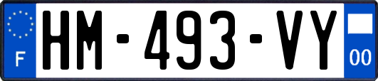 HM-493-VY