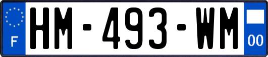 HM-493-WM