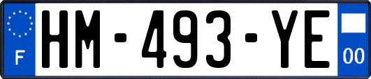 HM-493-YE