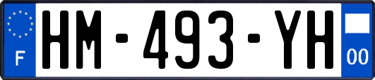 HM-493-YH
