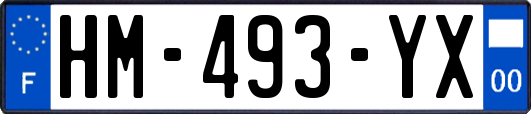HM-493-YX