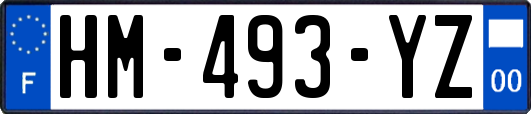 HM-493-YZ