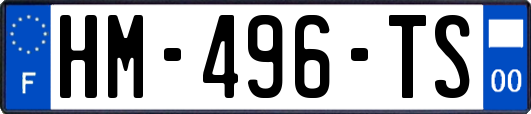HM-496-TS