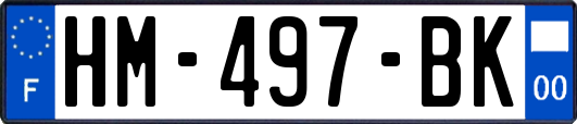 HM-497-BK