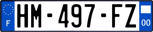 HM-497-FZ
