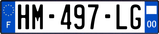 HM-497-LG