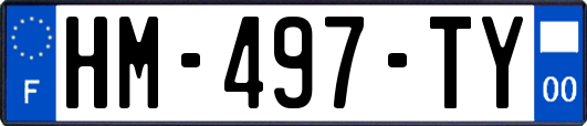 HM-497-TY
