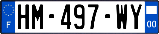 HM-497-WY