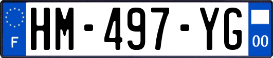 HM-497-YG