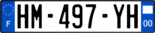 HM-497-YH