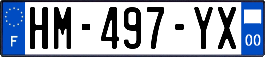 HM-497-YX