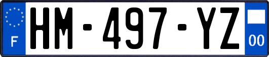 HM-497-YZ