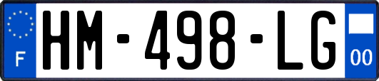HM-498-LG
