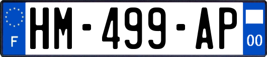 HM-499-AP
