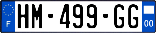 HM-499-GG