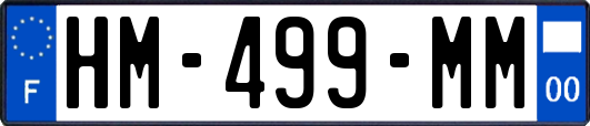 HM-499-MM