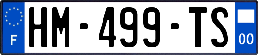HM-499-TS