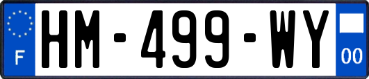 HM-499-WY