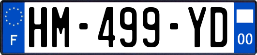 HM-499-YD
