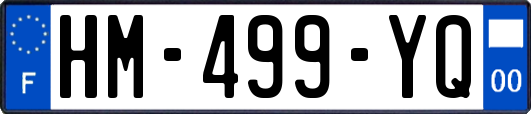 HM-499-YQ