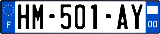 HM-501-AY