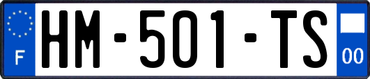 HM-501-TS