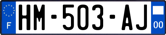 HM-503-AJ