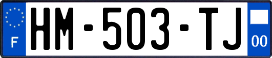 HM-503-TJ