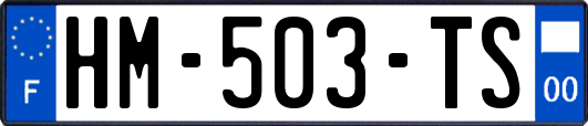 HM-503-TS